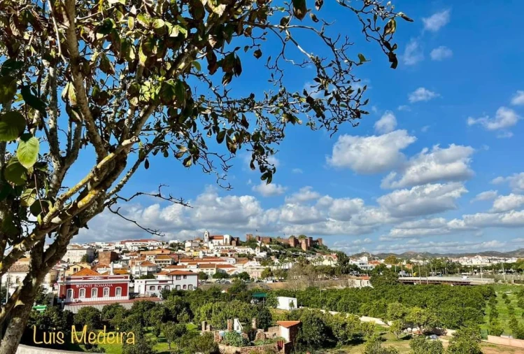 Moradia T2 para Venda em Silves Foto 11