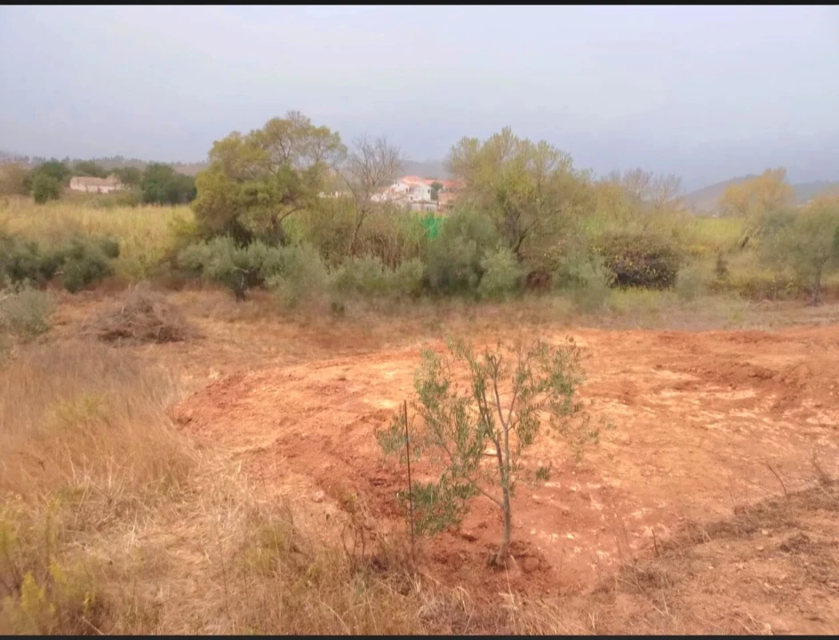 Terreno para Venda em São Bartolomeu de Messines Foto 2