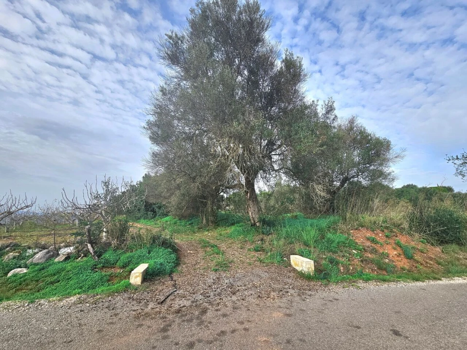 Terreno para Venda em São Bartolomeu de Messines Foto 2