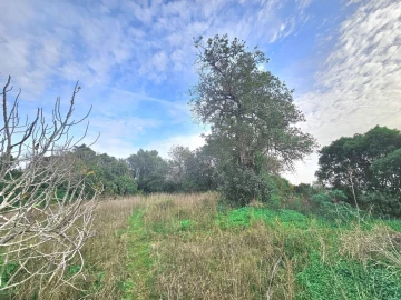 Terreno para Venda em São Bartolomeu de Messines