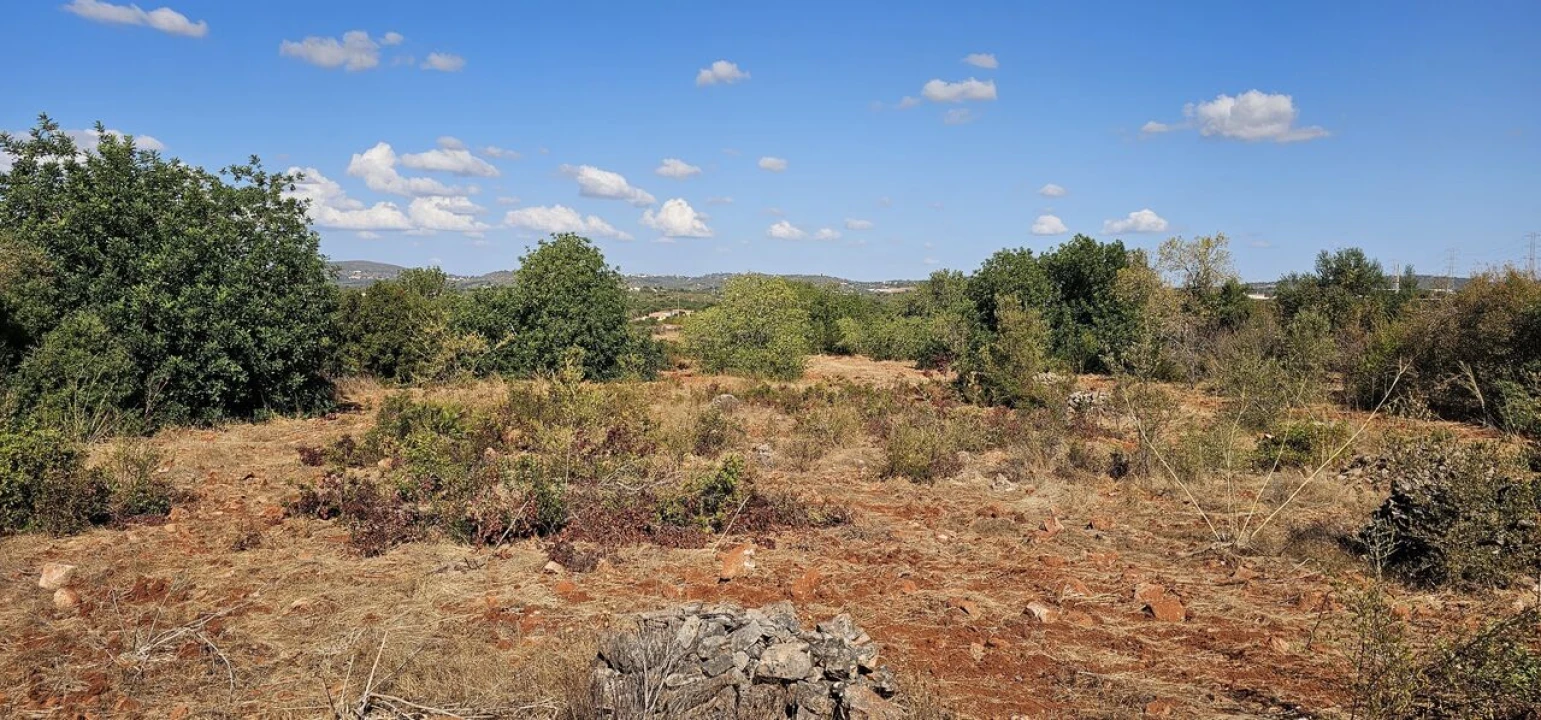 Terreno para Venda em São Bartolomeu de Messines Foto 15