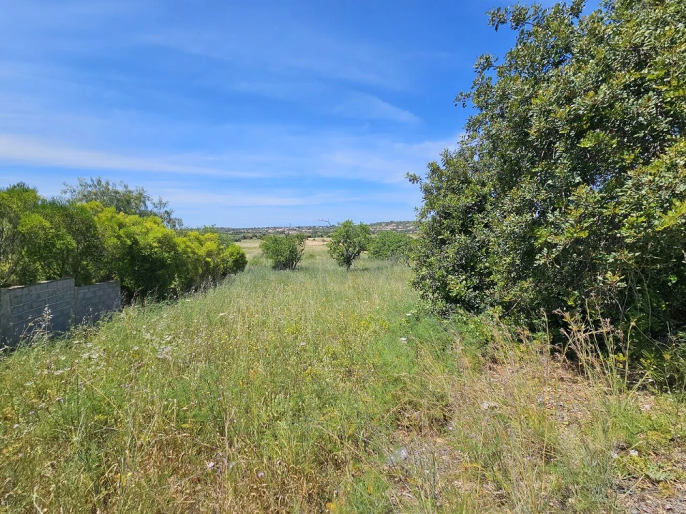 Terreno para Venda em Alcantarilha e Pêra Foto 1
