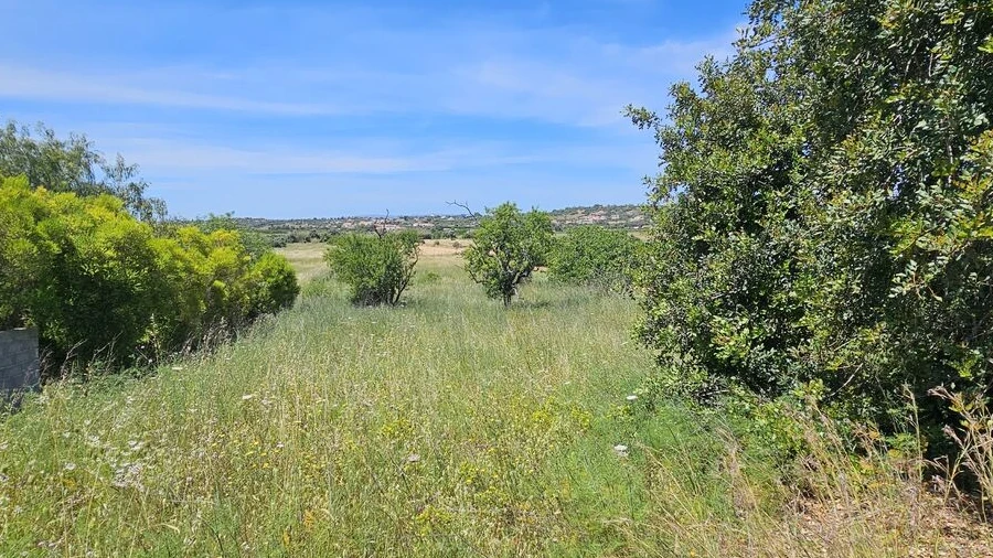Terreno para Venda em Alcantarilha e Pêra