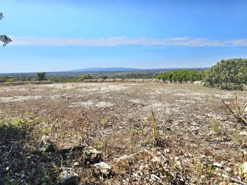Terreno para Venda em Alcantarilha e Pêra