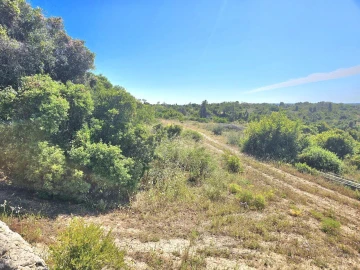 Terreno para Venda em Alcantarilha e Pêra