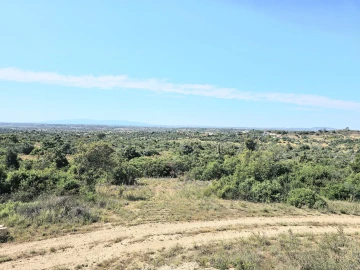 Terreno para Venda em Alcantarilha e Pêra