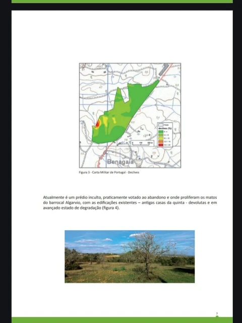 Terreno para Venda em Alcantarilha e Pêra