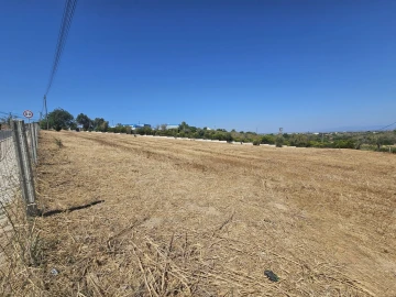 Terreno para Venda em Albufeira e Olhos de Água