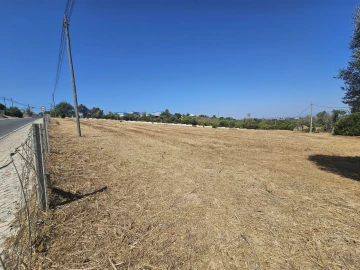 Terreno para Venda em Albufeira e Olhos de Água