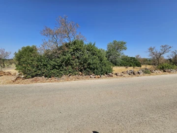Terreno para Venda em Paderne