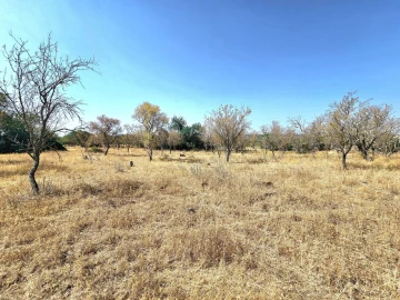 Terreno para Venda em Paderne