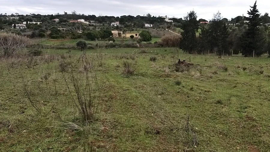Terreno para Venda em Algoz e Tunes