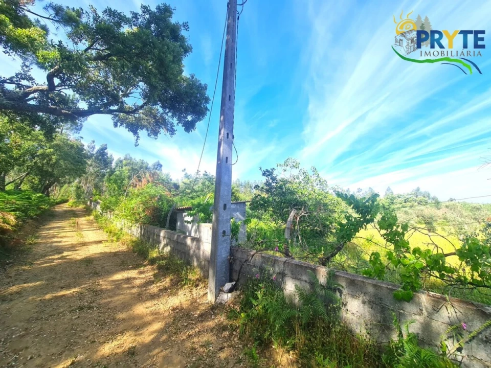 Quinta para Venda em Sertã Foto 6