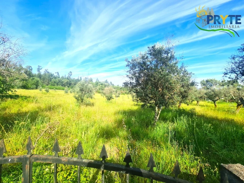 Quinta para Venda em Sertã Foto 8