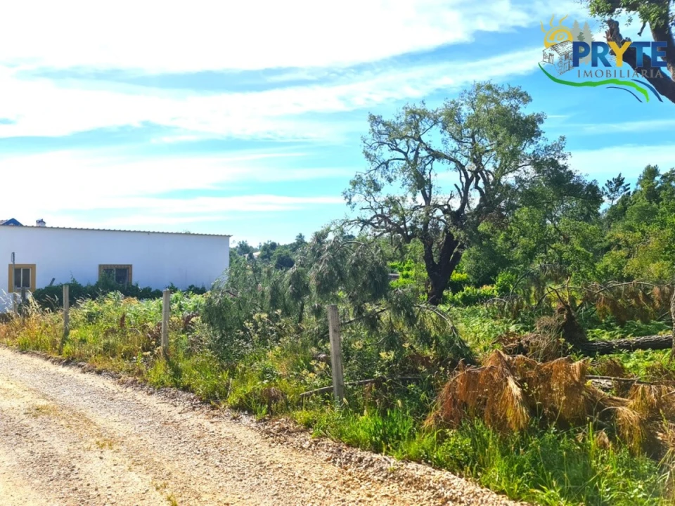Quinta para Venda em Sertã Foto 3