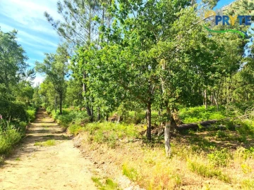 Quinta para Venda em Sertã