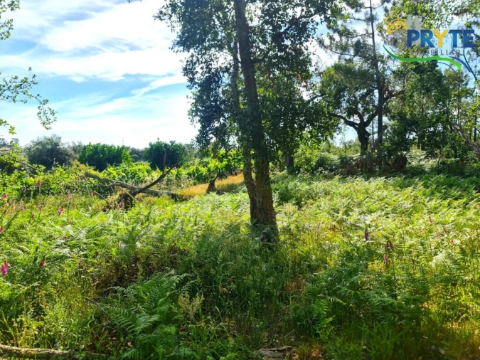 Quinta para Venda em Sertã Foto 9