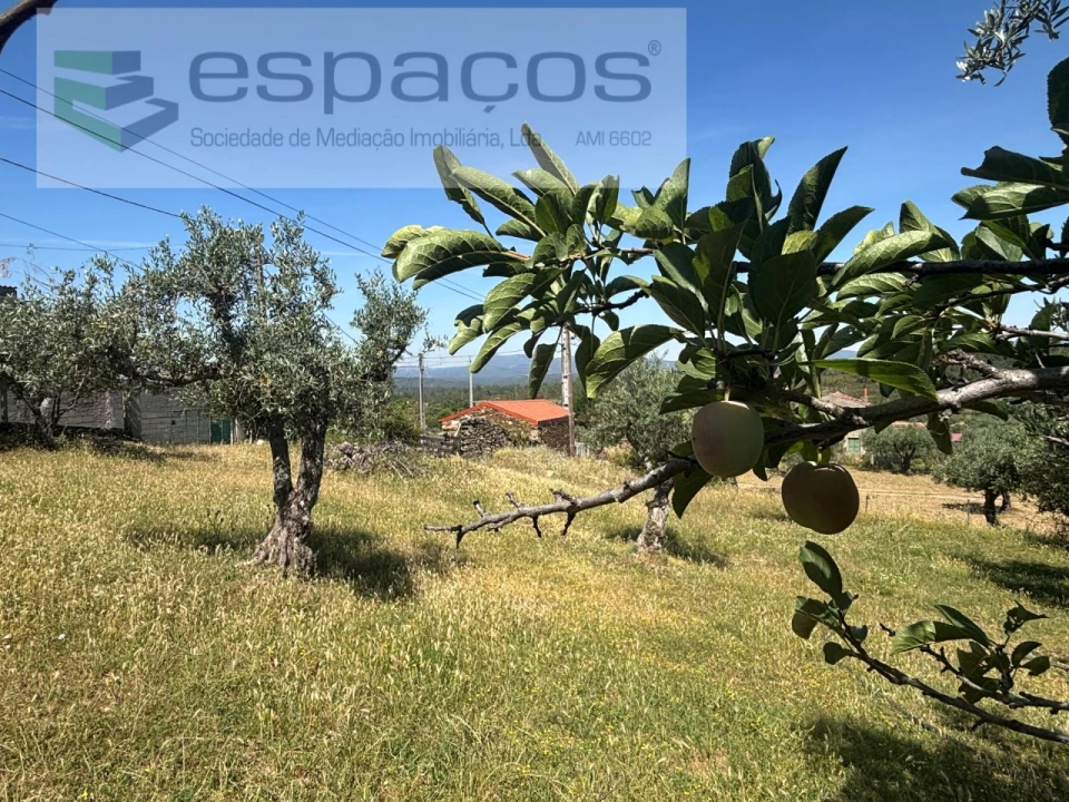 Terreno para Venda em Salgueiro do Campo Foto 12