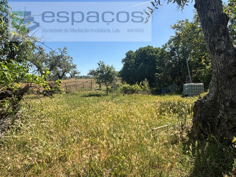 Terreno para Venda em Salgueiro do Campo Foto 13