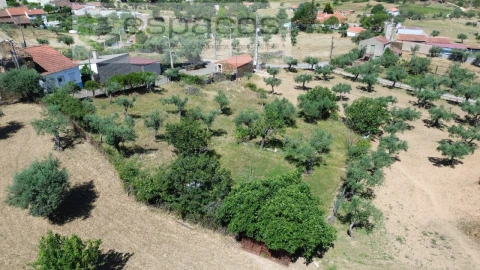 Terreno para Venda em Salgueiro do Campo