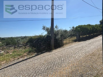Terreno para Venda em Salgueiro do Campo