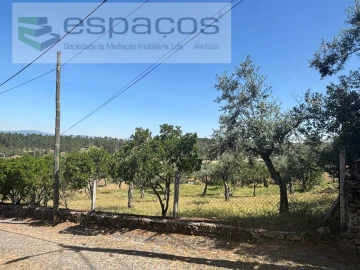Terreno para Venda em Salgueiro do Campo