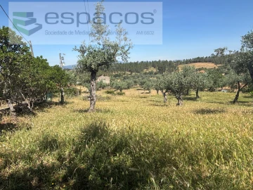 Terreno para Venda em Salgueiro do Campo