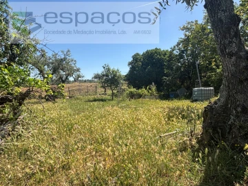 Terreno para Venda em Salgueiro do Campo