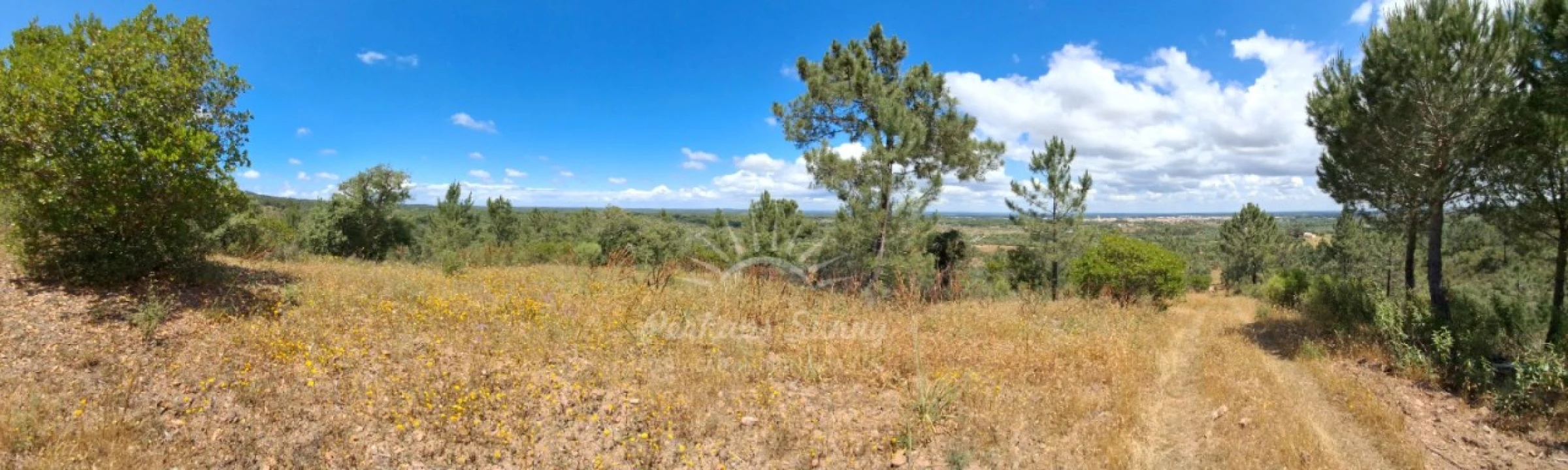Terreno Agricola ou Rústico para Venda em Grândola e Santa Margarida da Serra Foto 1