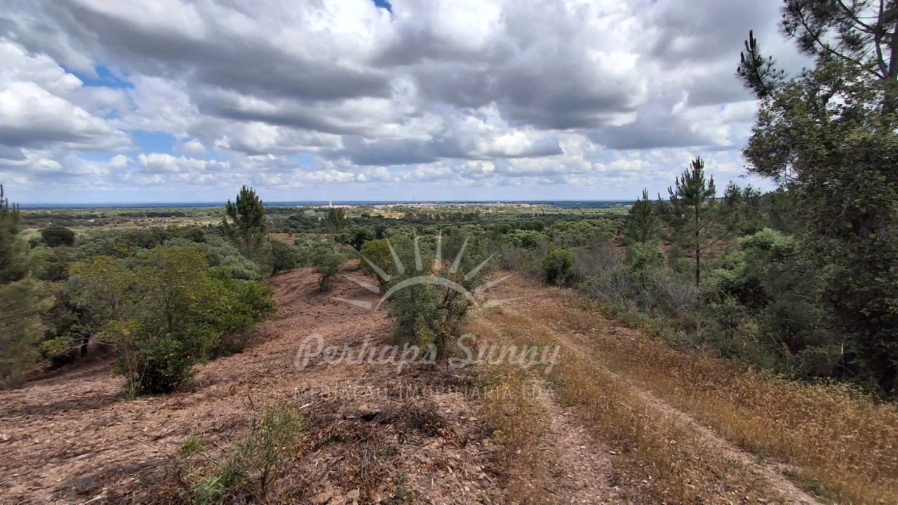 Terreno Agricola ou Rústico para Venda em Grândola e Santa Margarida da Serra Foto 3