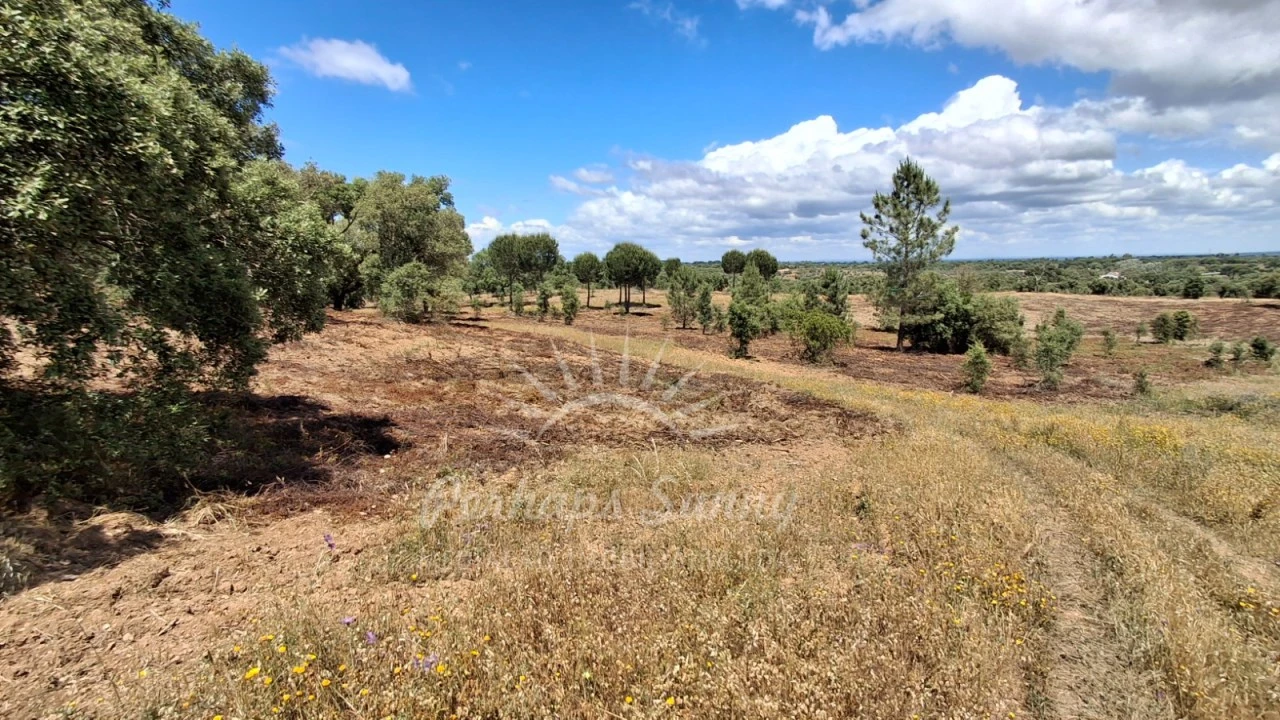 Terreno Agricola ou Rústico para Venda em Grândola e Santa Margarida da Serra Foto 5