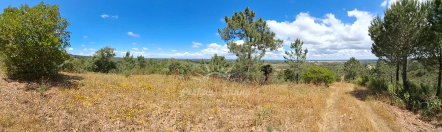 Terreno Agricola ou Rústico para Venda em Grândola e Santa Margarida da Serra