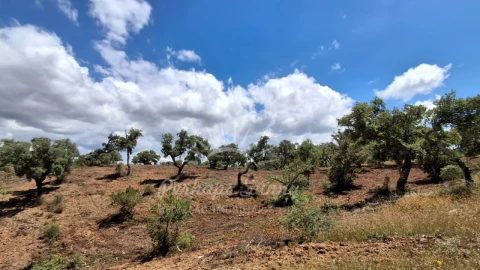 Terreno Agricola ou Rústico para Venda em Grândola e Santa Margarida da Serra