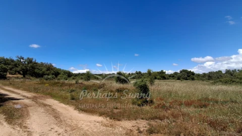 Terreno Agricola ou Rústico para Venda em Grândola e Santa Margarida da Serra