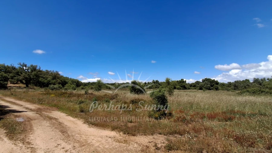 Terreno Agricola ou Rústico para Venda em Grândola e Santa Margarida da Serra Foto 12