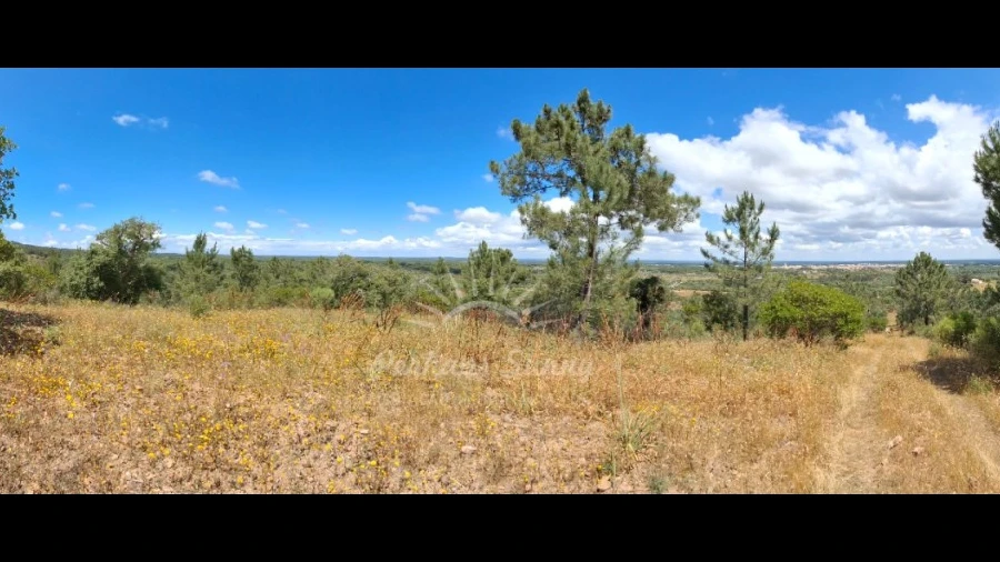 Terreno Agricola ou Rústico para Venda em Grândola e Santa Margarida da Serra
