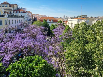 Apartamento T2 para Venda em Santa Maria Maior
