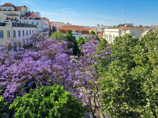 Apartamento T2 para Venda em Santa Maria Maior Foto 8