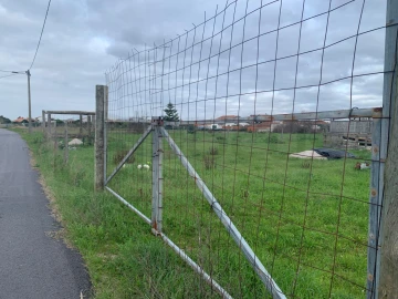 Terreno Agricola ou Rústico para Venda em Gafanha da Encarnação