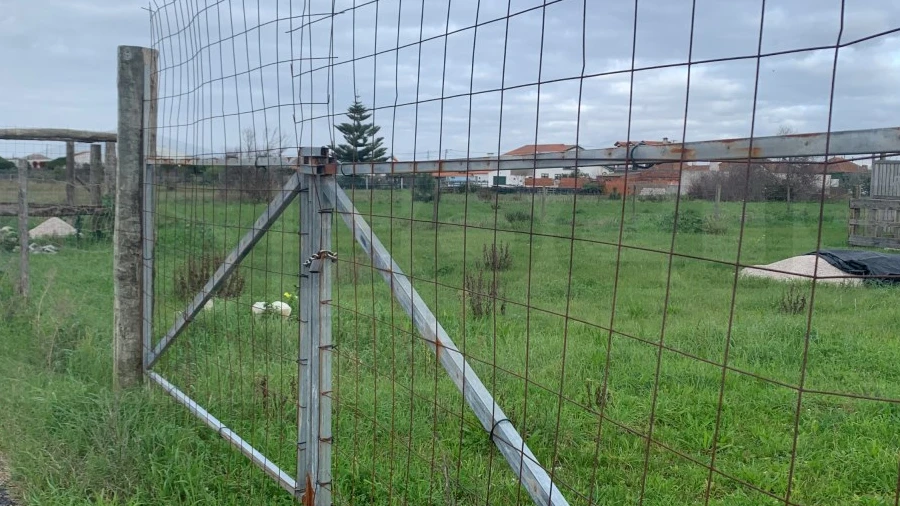 Terreno Agricola ou Rústico para Venda em Gafanha da Encarnação