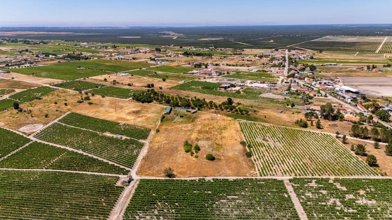 Terreno Agricola ou Rústico para Venda em Poceirão e Marateca Foto 4