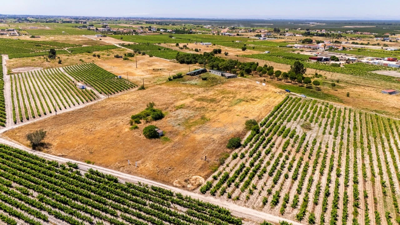 Terreno Agricola ou Rústico para Venda em Poceirão e Marateca Foto 6
