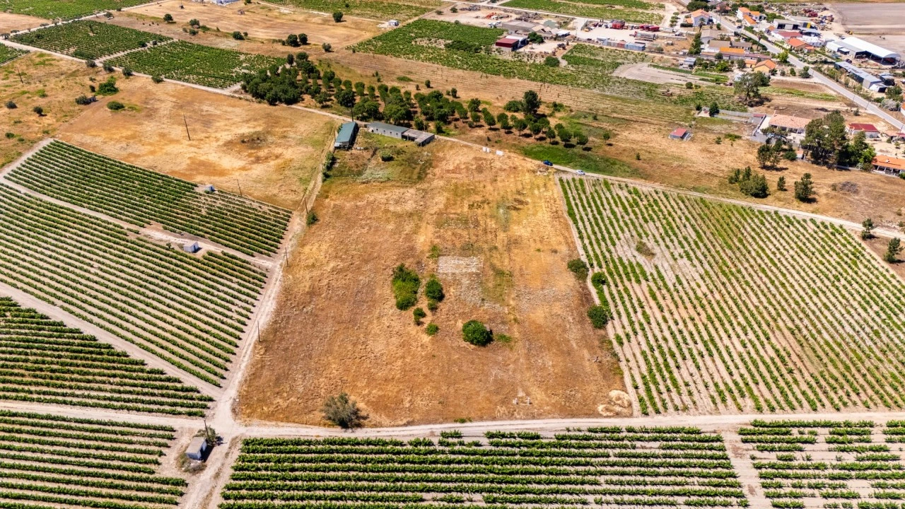 Terreno Agricola ou Rústico para Venda em Poceirão e Marateca Foto 7
