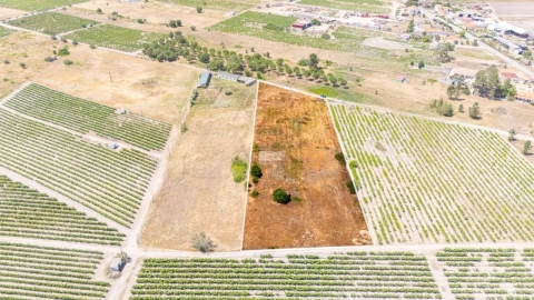 Terreno Agricola ou Rústico para Venda em Poceirão e Marateca