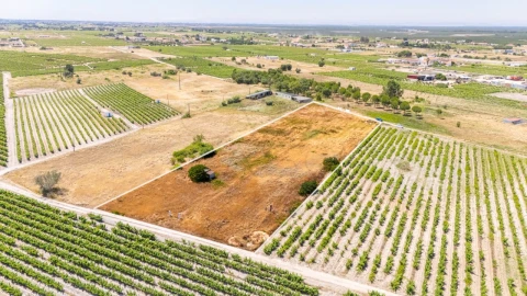 Terreno Agricola ou Rústico para Venda em Poceirão e Marateca