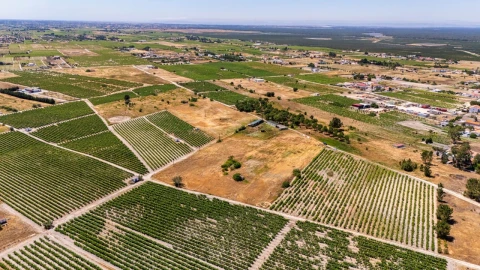 Terreno Agricola ou Rústico para Venda em Poceirão e Marateca