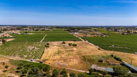 Terreno Agricola ou Rústico para Venda em Poceirão e Marateca