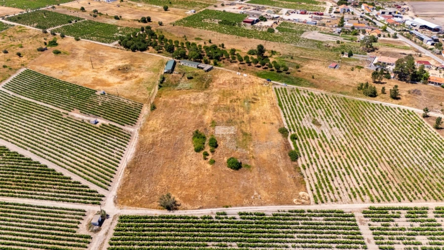 Terreno Agricola ou Rústico para Venda em Poceirão e Marateca Foto 7