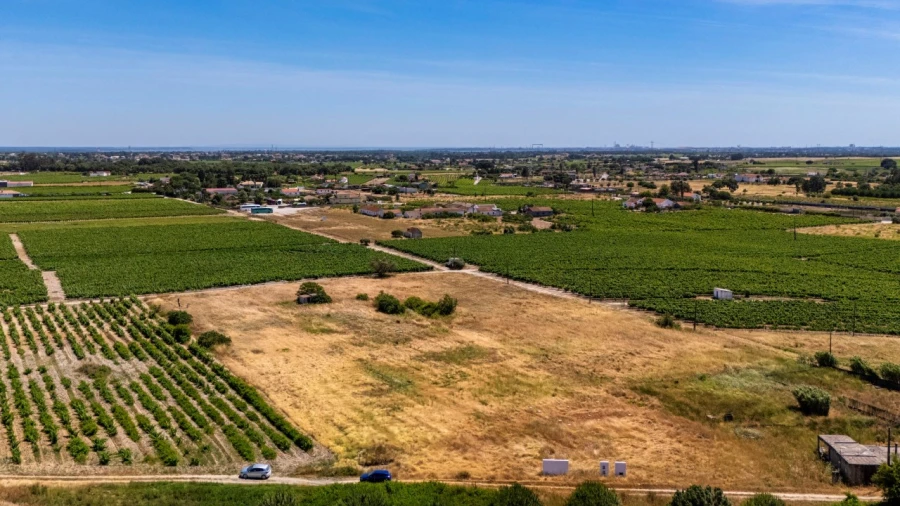 Terreno Agricola ou Rústico para Venda em Poceirão e Marateca Foto 8