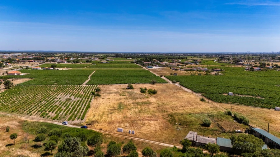 Terreno Agricola ou Rústico para Venda em Poceirão e Marateca Foto 9